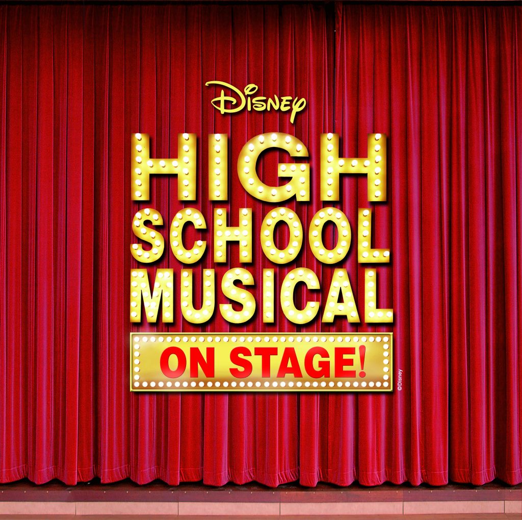 hsm logo