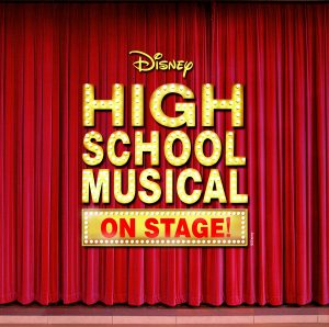 hsm logo