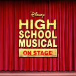 hsm logo